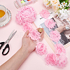 Polyester Lace Ribbons OCOR-WH0082-213C-3