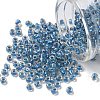 TOHO 6/0 Round Beads SEED-XTR06-0263-1