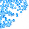 Frosted Opaque 8/0 Glass Seed Beads SEED-R029-3mm-A06-1