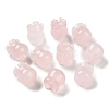 Natural Rose Quartz Beads G-G109-01F-1