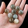 Natural Lodolite Quartz Ball Ornaments PW-WG2E4C7-02-1