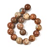 Dyed Natural Regalite/Imperial Jasper/Sea Sediment Jasper Beads Strands G-B124-C03-11-4
