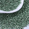 MIYUKI Delica Beads SEED-MY11-DB0414-1