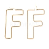 304 Stainless Steel Hoop Earrings EJEW-F251-A02-F-2