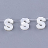 Natural Sea Shell Beads SHEL-T012-60S-1