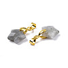 Natural Labradorite Charms G-N326-142-06-3