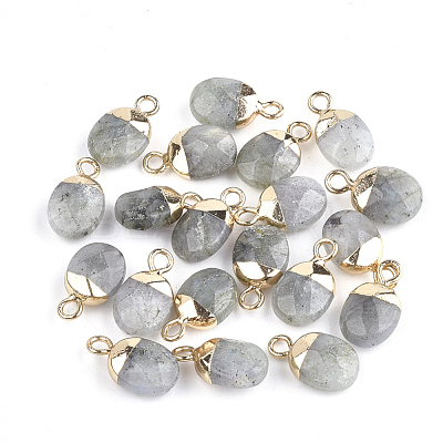 Electroplate Natural Labradorite Charms X-G-S344-09D-1
