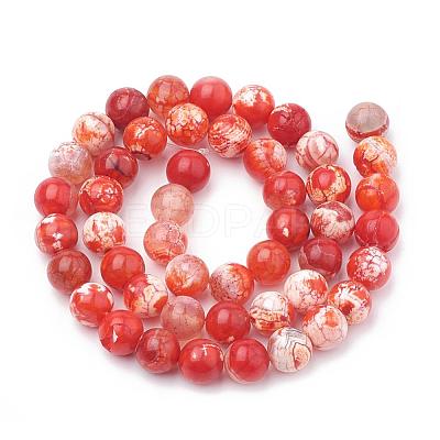 Dyed Natural Crackle Agate Beads Strands G-T100-03C-1