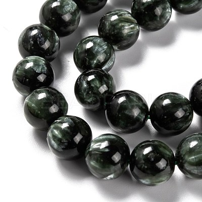 Natural Seraphinite Beads Strands G-E557-22C-1