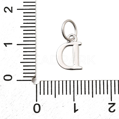 925 Sterling Silver Pendants STER-R011-07P-D-1