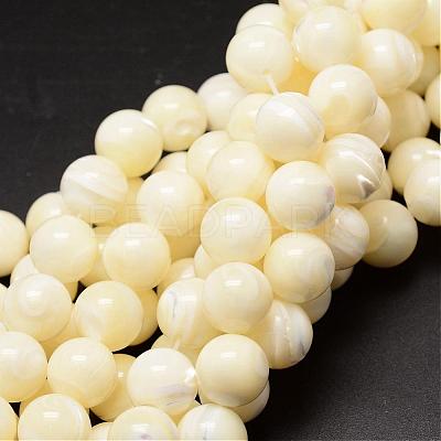 Natural Sea Shell Beads Strands SSHEL-K013-12mm-A-1