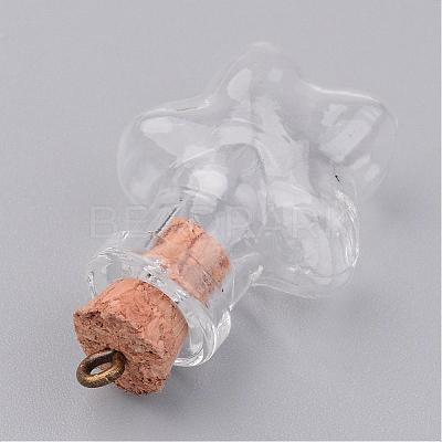Glass Bottle Pendants PALLOY-JF00247-1