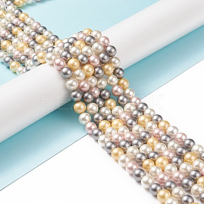 Shell Pearl Bead Strands BSHE-L017-17-1