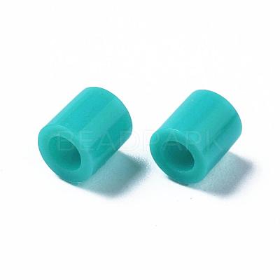 PE Fuse Beads DIY-R013-88-1