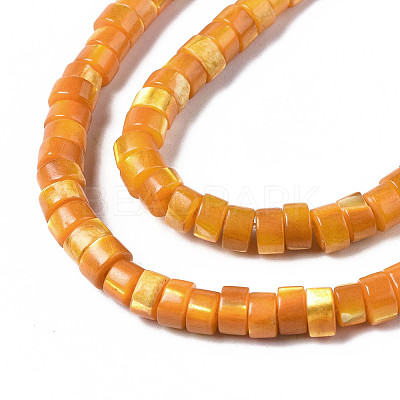Natural Trochus Shell Beads Strands LS-SHEL-S278-027F-1