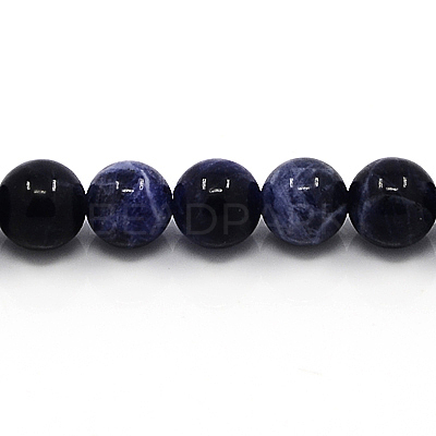 Natural Sodalite Beads Strands G-G515-12mm-07-1