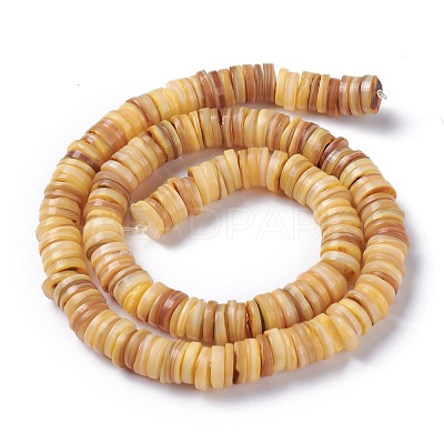 Natural Freshwater Shell Beads Strands BSHE-I016-04B-1