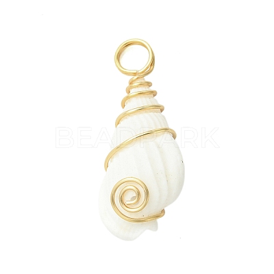 Natural Trumpet Shell Pendants PALLOY-JF02794-01-1
