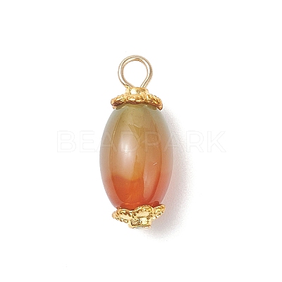 6Pcs Natural Peacock Agate(Dyed & Heated) Pendants PALLOY-JF04532-03-1