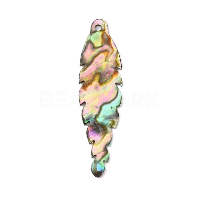 Natural Paua Shell Pendants SSHEL-WH0003-02-1