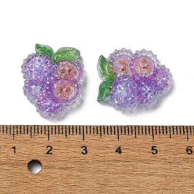Fruit Transparent Epoxy Resin Decoden Cabochons CRES-I030-23E-1