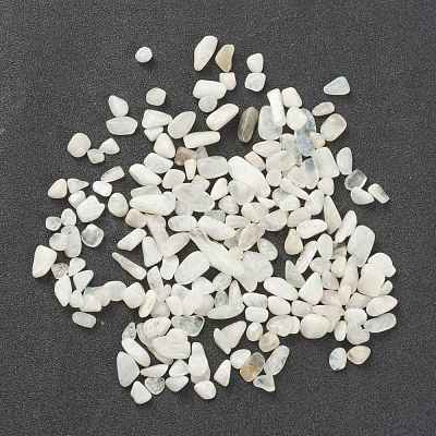 Natural Rainbow Moonstone Beads G-I304-04A-1