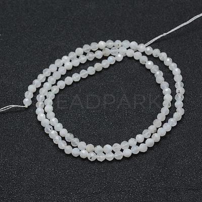 Natural Rainbow Moonstone Beads Strands G-E411-08-4mm-1