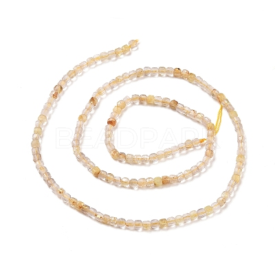 Natural Gold Rutilated Quartz Beads Strands G-C009-B17-1