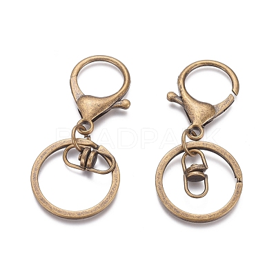 Iron Alloy Lobster Claw Clasp Keychain X-KEYC-D016-AB-1