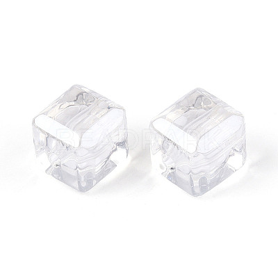 Transparent Acrylic Beads TACR-T028-59B-1