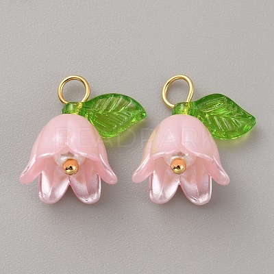 Acrylic Charms KY-TAC0009-03C-1