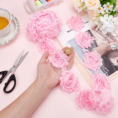 Polyester Lace Ribbons OCOR-WH0082-213C-1