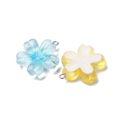 Transparent Resin Pendants RESI-A046-05B-1