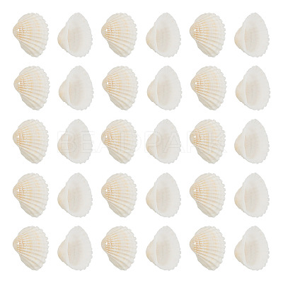 Shell Pendants SSHEL-TA0001-03-1