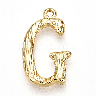 304 Stainless Steel Pendants STAS-N117-01G-G-1