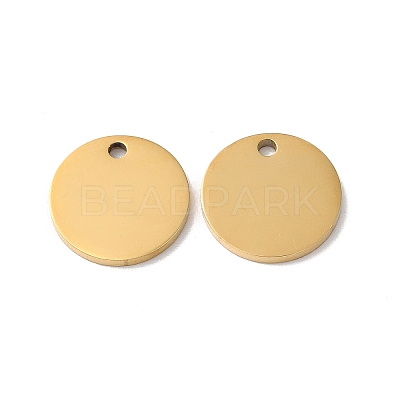 304 Stainless Steel Charms STAS-Q308-09H-G-1