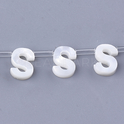 Natural Sea Shell Beads SHEL-T012-60S-1