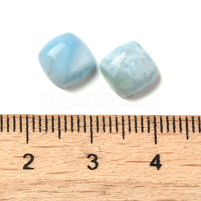 Natural Larimar Cabochons G-E616-04B-1