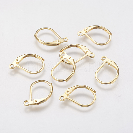 304 Stainless Steel Leverback Earring Findings X-STAS-F141-03G-1