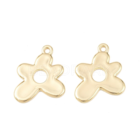 Alloy Pendants PALLOY-P315-10A-G-1