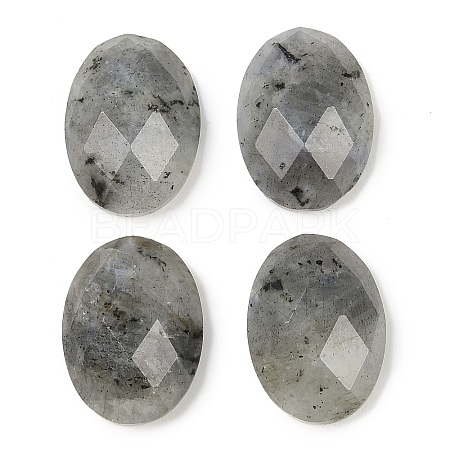 Natural Labradorite Cabochons G-G760-A15-1