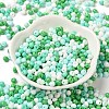 6/0 Opaque Baking Paint Glass Seed Beads X1-SEED-M012-02A-27-2