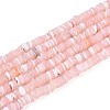 Natural Trochid Shell/Trochus Shell Beads Strands SSHEL-N040-21F-1