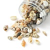 12 Styles Natural Mixed Shell Beads SSHEL-YW0001-05-3