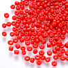 6/0 Baking Paint Glass Round Seed Beads SEED-S036-01C-15-1