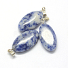 Horse Eye Natural Blue Spot Jasper Pendants G-Q363-16-2