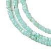 Natural Freshwater Shell Beads Strands SHEL-P017-01A-08-3