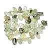 Natural Prehnite Beads Strands G-P604-A02-01-5