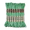 10 Skeins 6-Ply Polyester Embroidery Floss OCOR-K006-A25-1