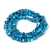 Natural Freshwater Shell Beads Strands SHEL-N037-04I-2